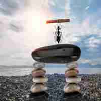 缓​存​工​具​